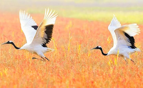 ����Q����400�֣�ͨ��44ƪ��