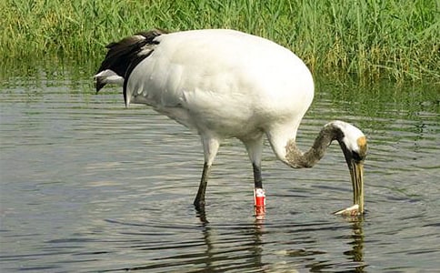 �P(gu��n)�ڡ������ĵ���Q���̌W�̰�