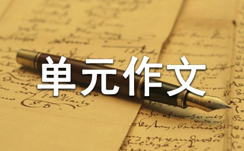 五年級(jí)下冊(cè)第八單元作文:火樹銀花不夜天作文400字