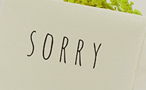 關(guān)于道歉作文的素材(通用10篇)