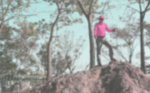 �P(gu��n)�ڵ�ɽ������[��(y��u)]