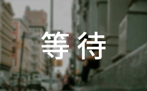 【優(yōu)】關(guān)于等待作文