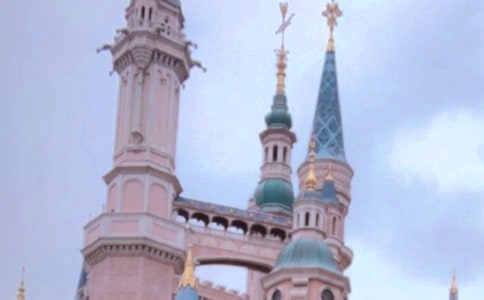 ���ʵĵ�ʿ���ó�����