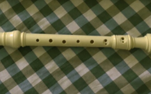 關(guān)于學(xué)笛子的小學(xué)生作文450字