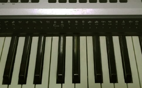 學(xué)彈電子琴作文