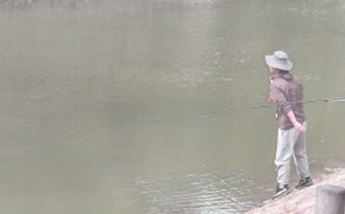 讀釣魚的啟示有感15篇