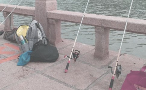 關(guān)于釣魚的作文(精)