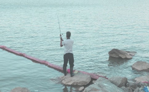 《小貓釣魚》小班體育教案(精選10篇)