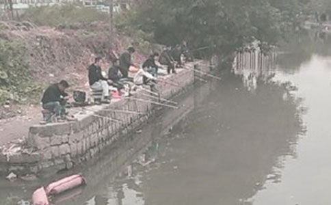 ��~�Ć�ʾ�x���ĵ�