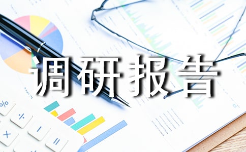 關(guān)于推行稅收專業(yè)化管理的調(diào)研報告