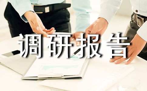 企業(yè)調(diào)研報(bào)告