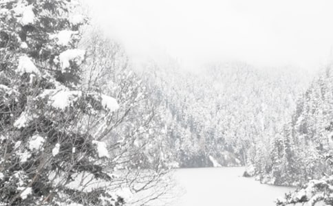 ���@��(g��)��������ɢ��