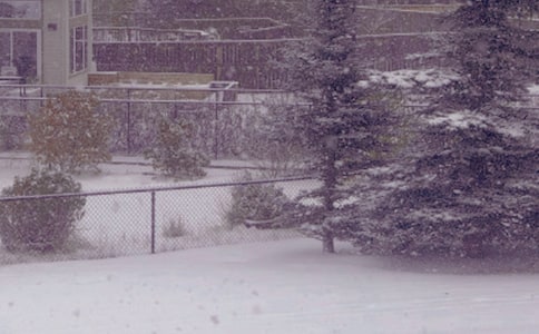 【精品】冬日的陽(yáng)光作文4篇