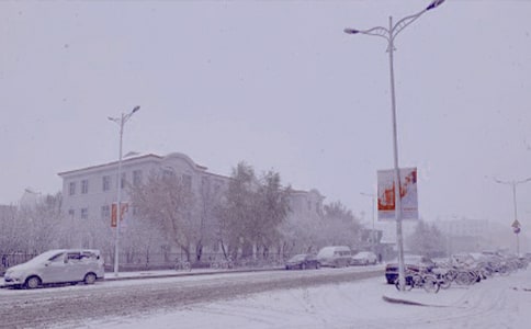 ����ѩ������