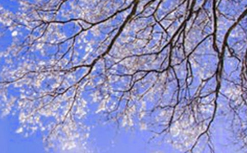 形容北方冬天寒冷的簡(jiǎn)短句子210句