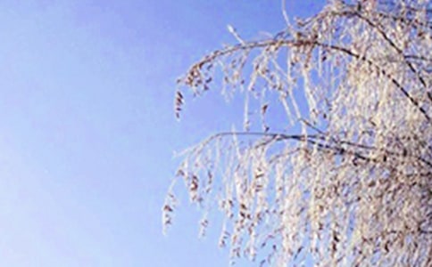 �����茑(xi��)����ľ���