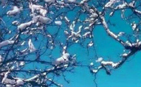 冀美版三年級(jí)美術(shù)《冬天里》教案