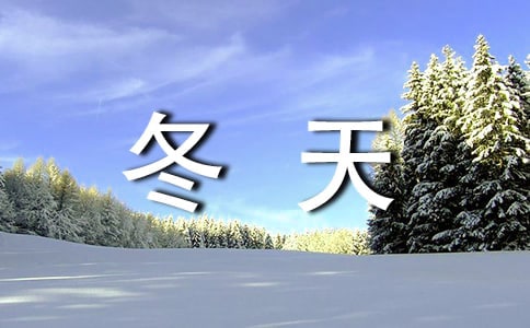 中班冬天美術(shù)教案(通用17篇)
