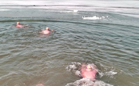 ���������x--��Ӿ��