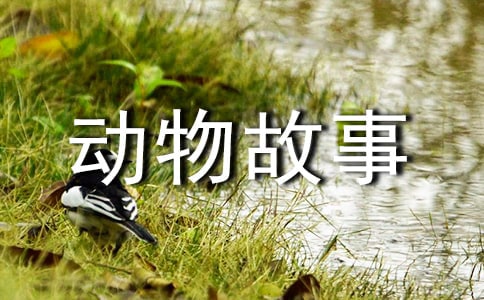 ���D��������x���