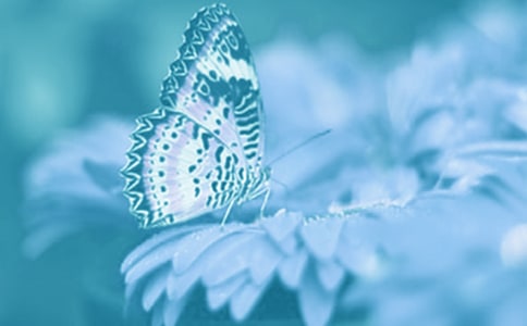 ��ۄ�(d��ng)ֲ�﹫�@��(d��o)���~