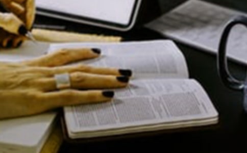 [�D(zhu��n)]�����x��� -�����x���