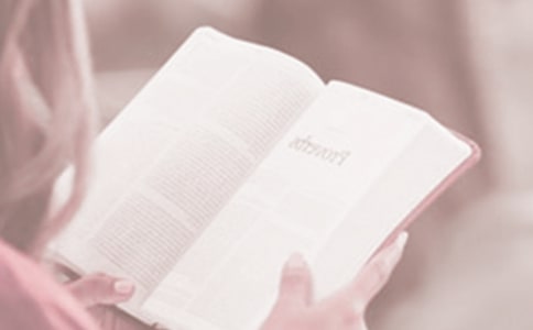 小學(xué)二年級(jí)讀書(shū)日記