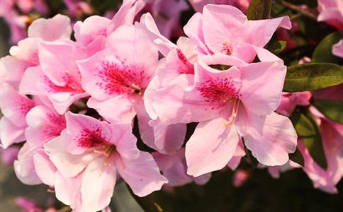 �茑���N���ă�(y��u)����������