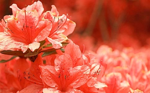 ���N������