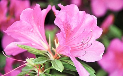 �P�ڶ��N�����ġ���(y��u)�x3ƪ��