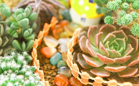 �N��������