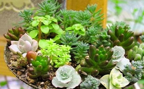 �N��������100�֣�ͨ��21ƪ��