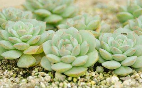 �P(gu��n)�ڶ�����^����ӛ