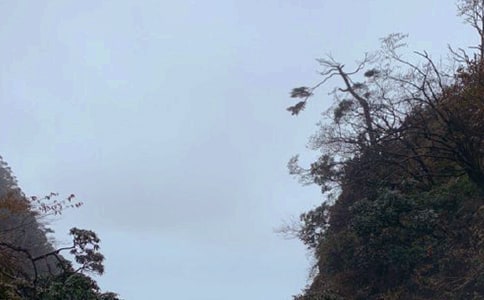 四川峨眉山簡(jiǎn)短的導(dǎo)游詞