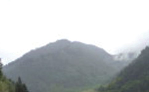 ��üɽ��픷�⌧(d��o)���~��ͨ��20ƪ��