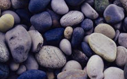 我和父親一起走鵝卵石作文400字