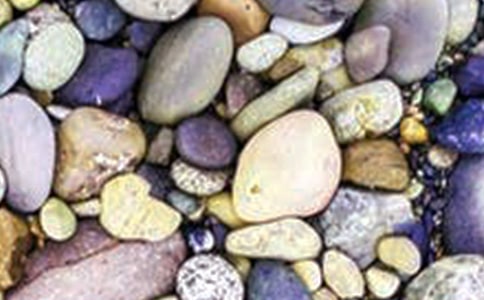 我和鵝卵石交朋友幼兒園大班教案