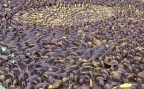 �Z��ʯ_500��