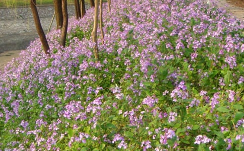 �����m����