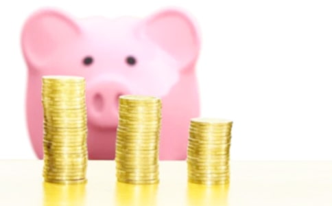 關(guān)于發(fā)財(cái)樹(shù)的優(yōu)秀作文