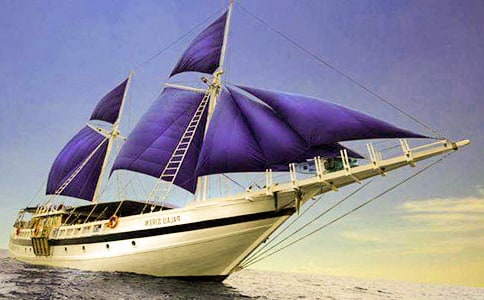 中班美術(shù)小帆船教案(通用5篇)