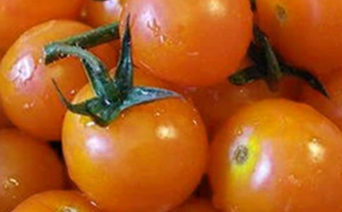 小班語言番茄紅了教案