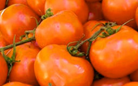 �P(gu��n)�ڷ�������