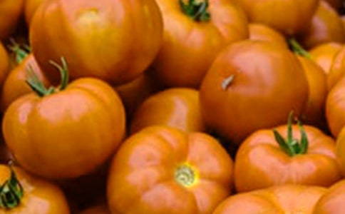 (合集)番茄炒蛋作文26篇