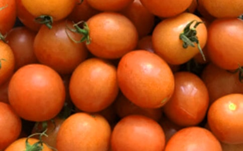 課文《番茄太陽》教學(xué)反思范文