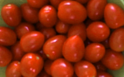 關(guān)于采摘番茄作文(通用29篇)