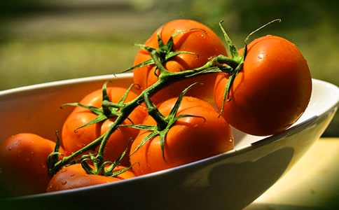 小番茄成長記作文(精選32篇)