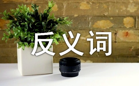 光明磊落的反義詞是什么_成語(yǔ)的意思_造句