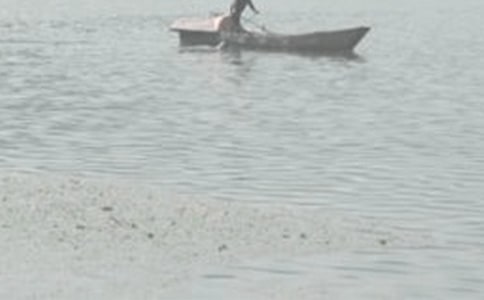 �ƺ���������