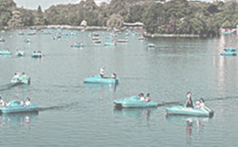 ������������